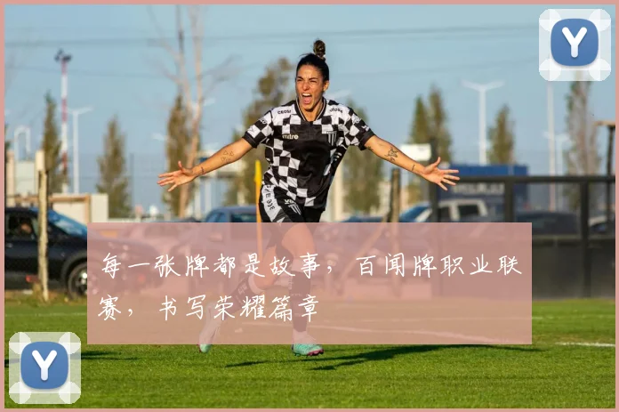 每一张牌都是故事,百闻牌职业联赛,书写荣耀篇章